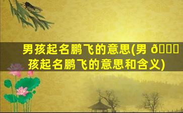 男孩起名鹏飞的意思(男 🐒 孩起名鹏飞的意思和含义)